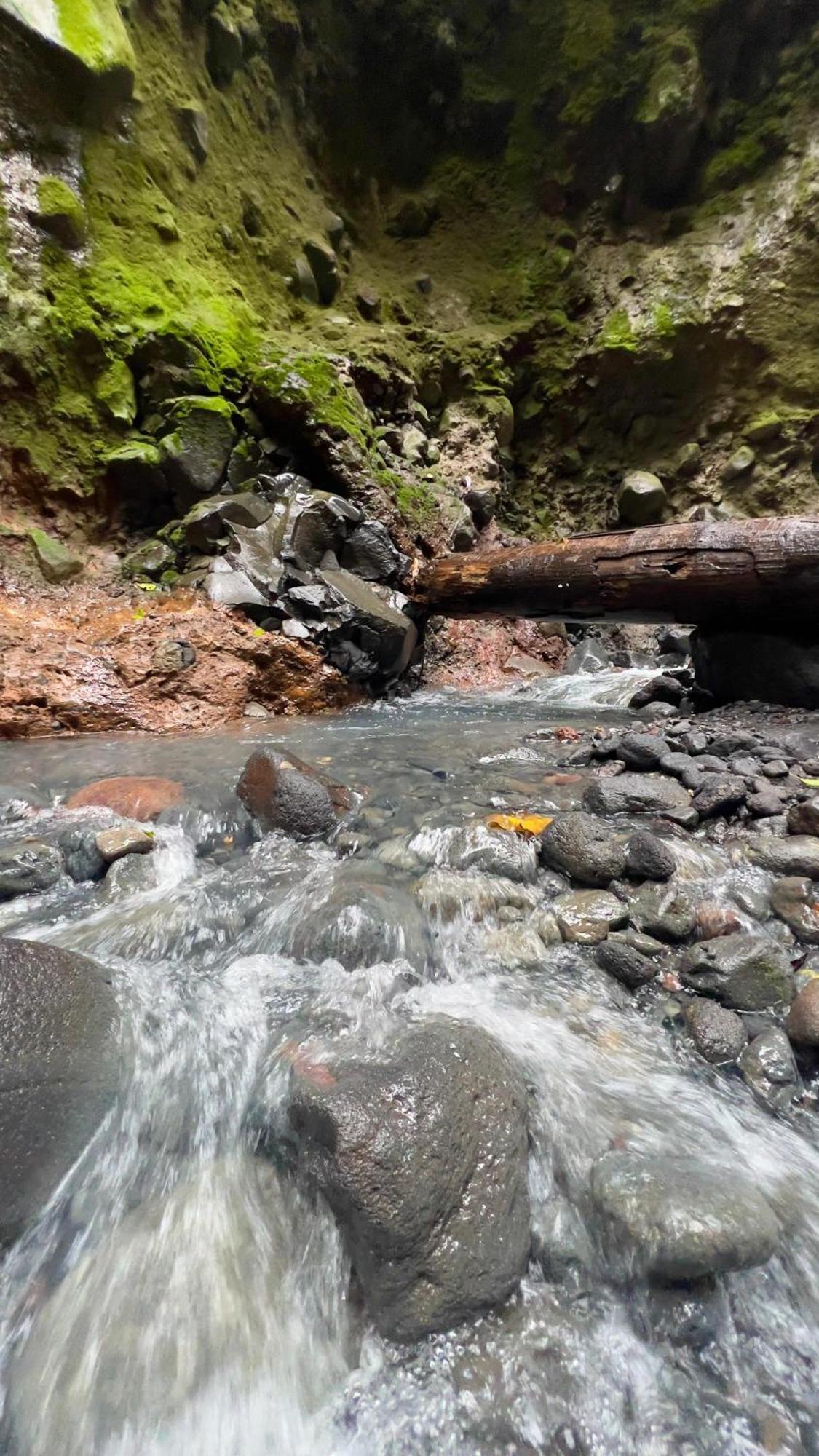 Mineral River Eco Village Upala Dış mekan fotoğraf