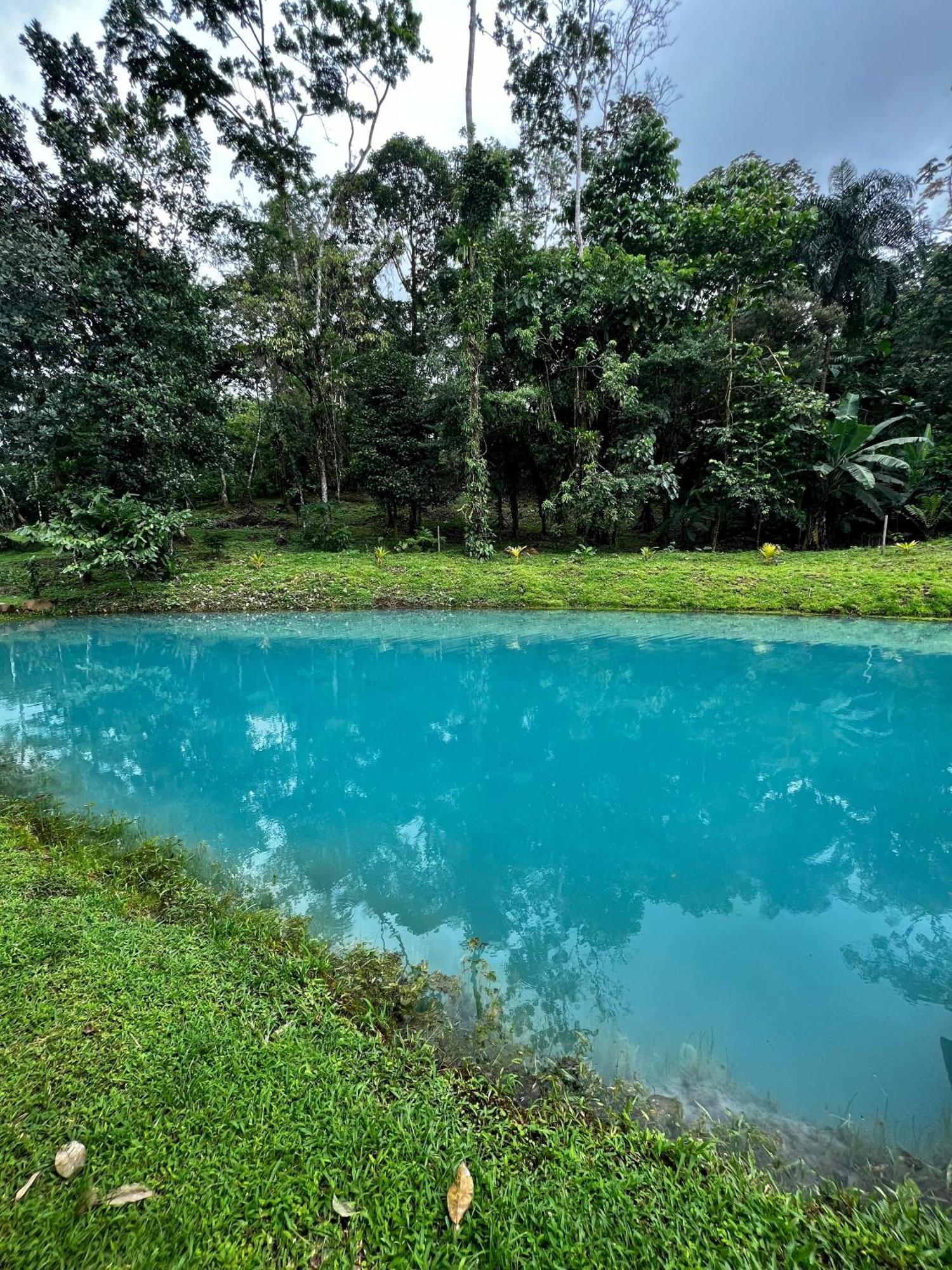 Mineral River Eco Village Upala Dış mekan fotoğraf
